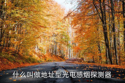 什么叫做地址型光電感煙探測器