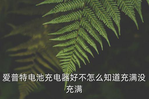 愛普特電池充電器好不怎么知道充滿沒充滿