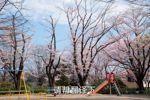 upskill，請幫翻譯下