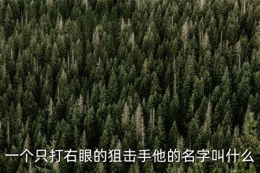 一個只打右眼的狙擊手他的名字叫什么