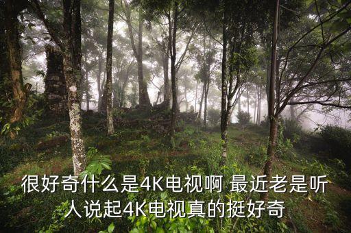 什么是4k電視，很好奇什么是4K電視啊 最近老是聽(tīng)人說(shuō)起4K電視真的挺好奇