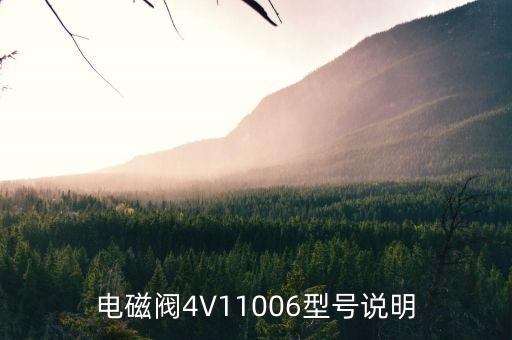 電磁閥4V11006型號(hào)說明