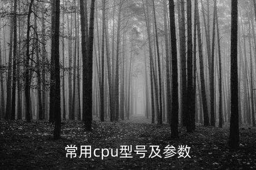 常用cpu型號及參數(shù)
