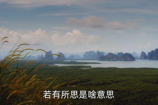 若有所思是啥意思
