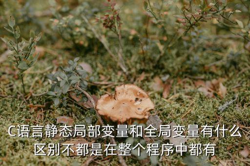 C語(yǔ)言靜態(tài)局部變量和全局變量有什么區(qū)別不都是在整個(gè)程序中都有