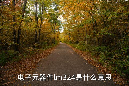 電子元器件lm324是什么意思