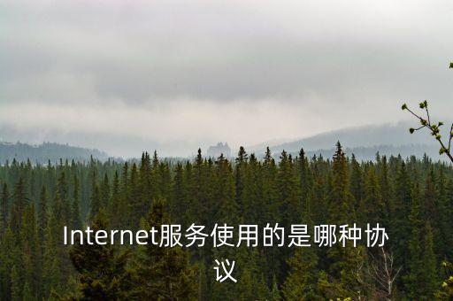 Internet服務(wù)使用的是哪種協(xié)議
