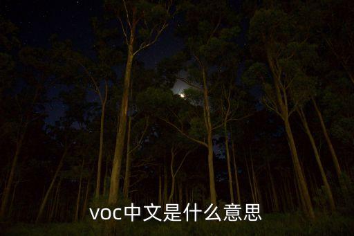 voc中文是什么意思