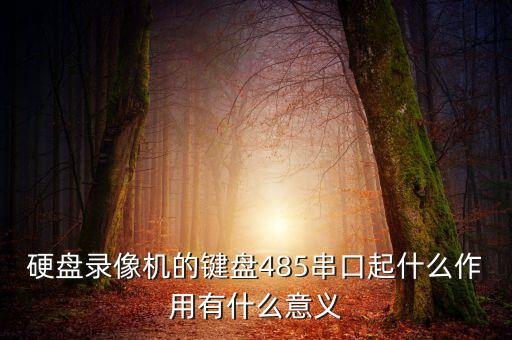 485串口，什么叫內(nèi)置485接口