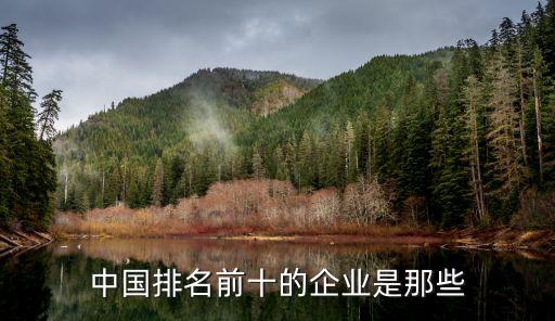 中國排名前十的企業(yè)是那些