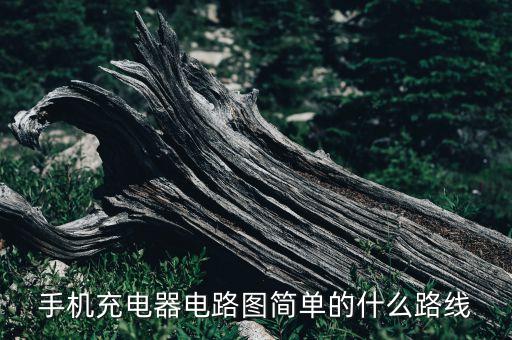 手機(jī)充電器電路圖簡(jiǎn)單的什么路線