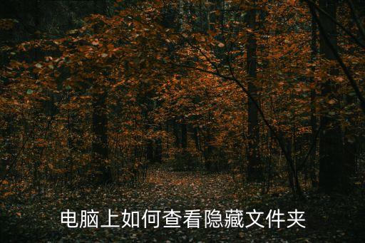 查看隱藏文件，怎樣查看隱藏的文件