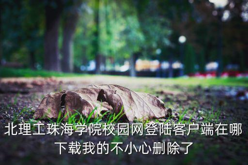 zhbit，求歌跪求歌名