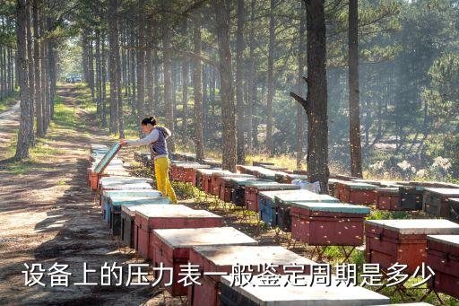 設(shè)備上的壓力表一般鑒定周期是多少
