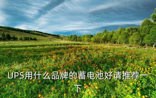 UPS用什么品牌的蓄電池好請推薦一下