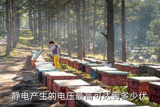 靜電電壓最高可達(dá)多少伏，靜電可達(dá)多少伏
