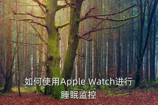 如何使用Apple Watch進行睡眠監(jiān)控