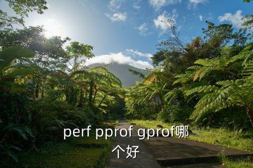 perf pprof gprof哪個(gè)好