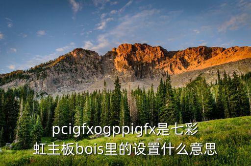 gpp是什么意思，GPP是什么啊