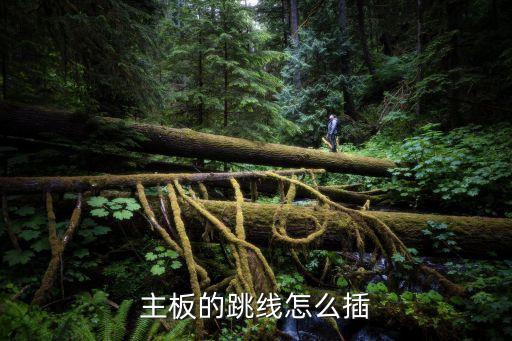 跳線怎么插，主板的跳線怎么插
