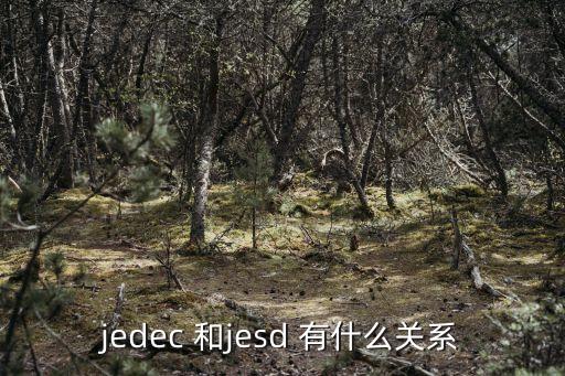 jedec 和jesd 有什么關(guān)系