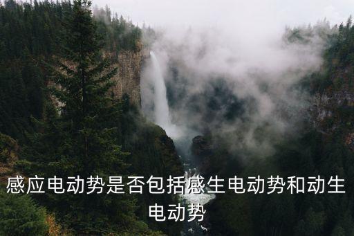感應(yīng)電動(dòng)勢(shì)是否包括感生電動(dòng)勢(shì)和動(dòng)生電動(dòng)勢(shì)