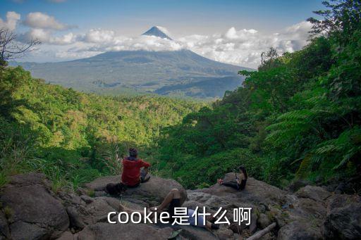 cookie，cookie 有什么意思