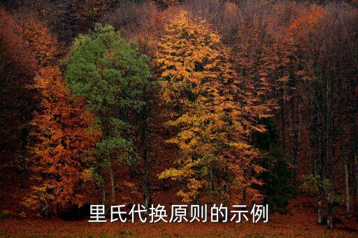 里氏代換原則，里氏代換原則的示例