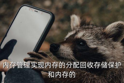 內存管理，內存如何管理與維護