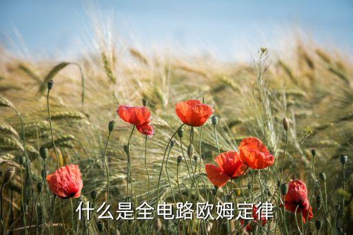 全電路歐姆定律，全電路歐姆定律是什么