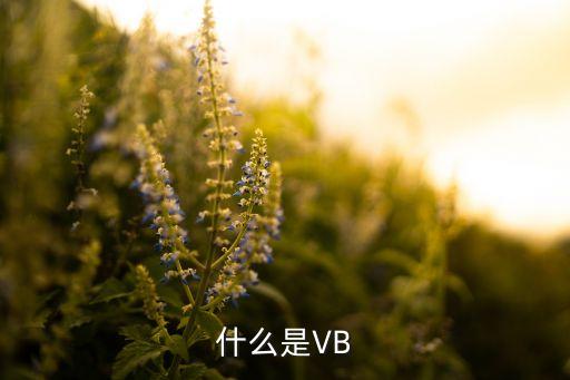 什么是VB