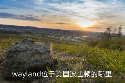 Wayland，wayland是什么意思