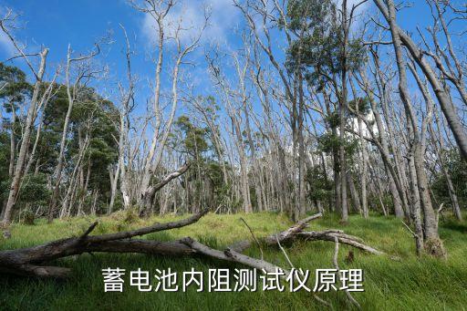 蓄電池內(nèi)阻測(cè)試儀原理