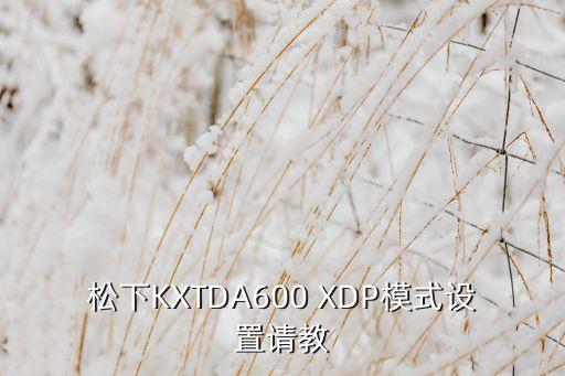 松下KXTDA600 XDP模式設(shè)置請教