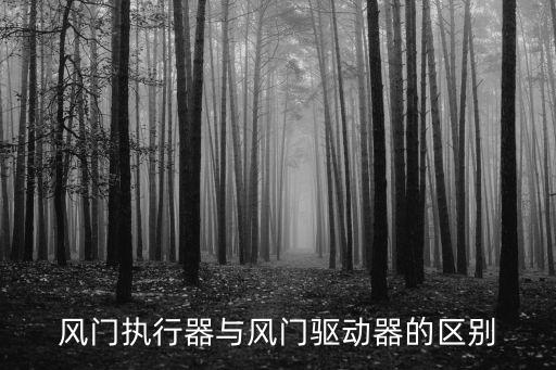 風(fēng)門執(zhí)行器與風(fēng)門驅(qū)動器的區(qū)別