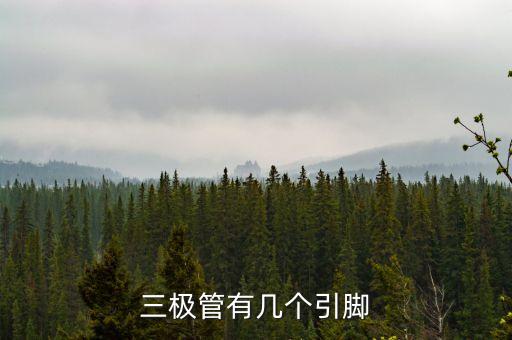 三極管有幾個引腳