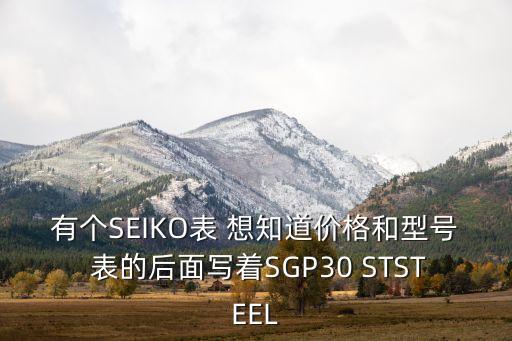 有個(gè)SEIKO表 想知道價(jià)格和型號(hào) 表的后面寫(xiě)著SGP30 STSTEEL