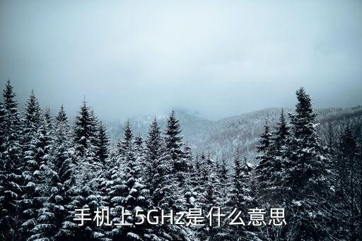 手機上5GHz是什么意思
