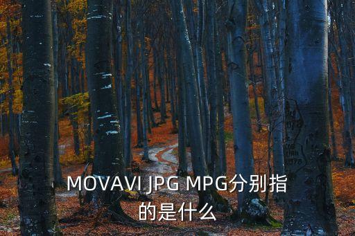 MOVAVI JPG MPG分別指的是什么
