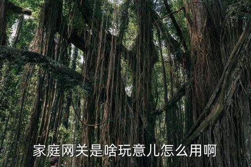 家庭網(wǎng)關(guān)，家庭網(wǎng)關(guān)是啥玩意兒怎么用啊