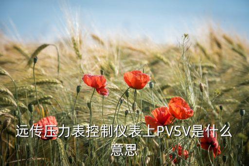遠(yuǎn)傳壓力表控制儀表上PVSV是什么意思