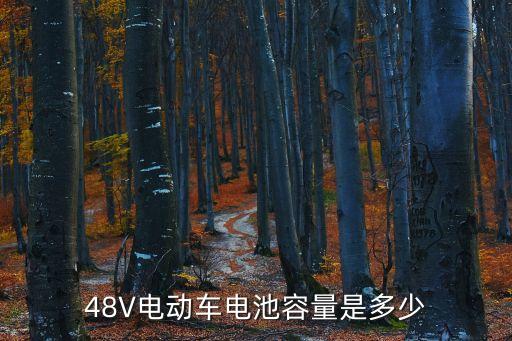 48V電動車電池容量是多少