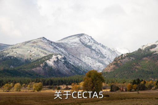 關于CECTA5