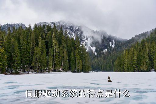 伺服控制系統，伺服驅動系統的特點是什么