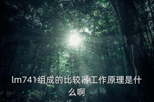 lm741組成的比較器工作原理是什么啊