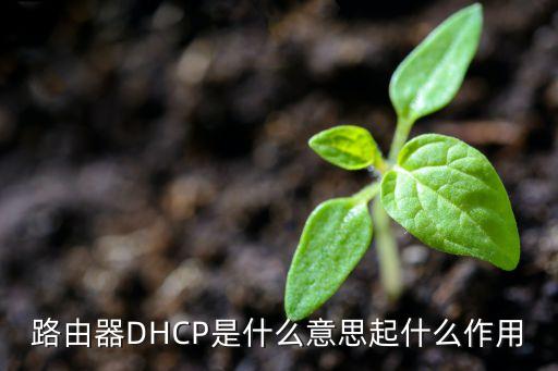 路由器DHCP是什么意思起什么作用