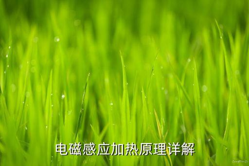 電磁感應(yīng)加熱原理詳解