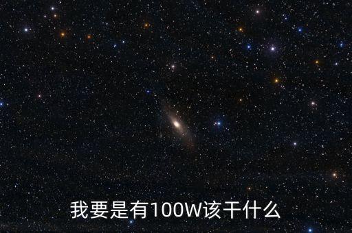 我要是有100W該干什么