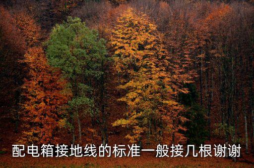 配電箱接地線的標(biāo)準(zhǔn)一般接幾根謝謝