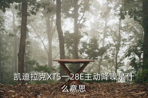 凱迪拉克XT5一28E主動降噪是什么意思